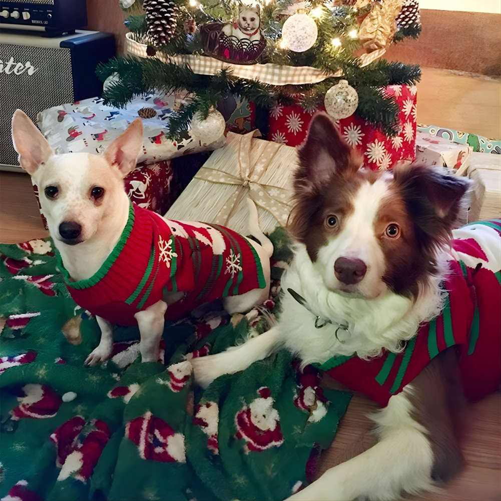 Suéter Navideño para Perros