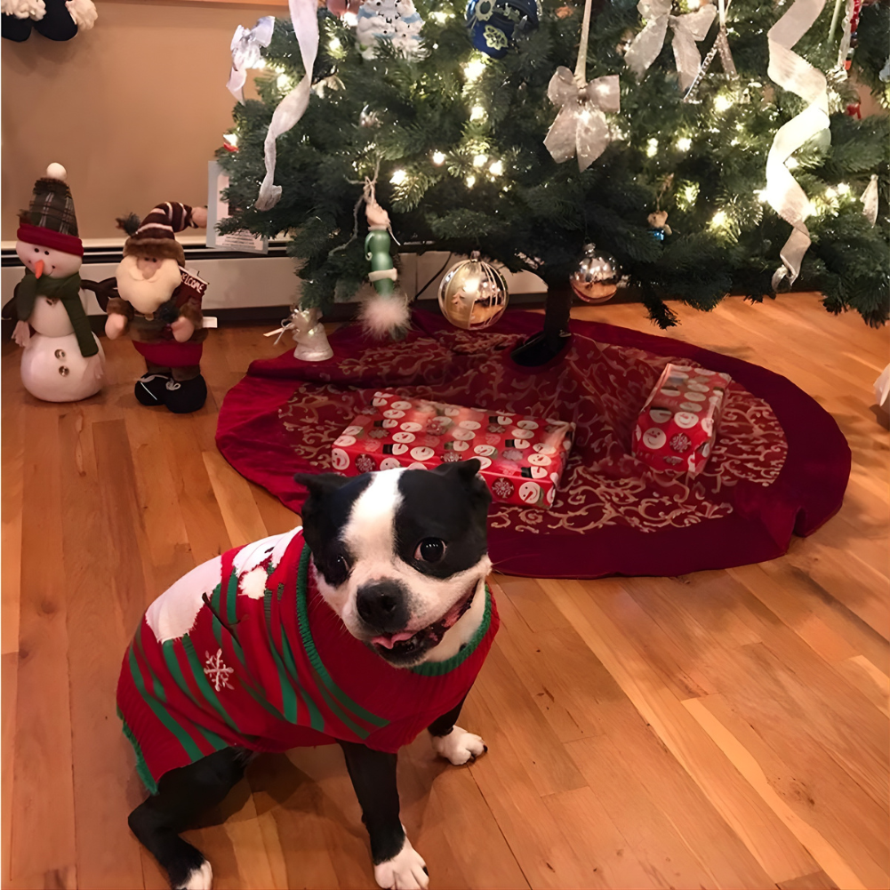 Suéter Navideño para Perros