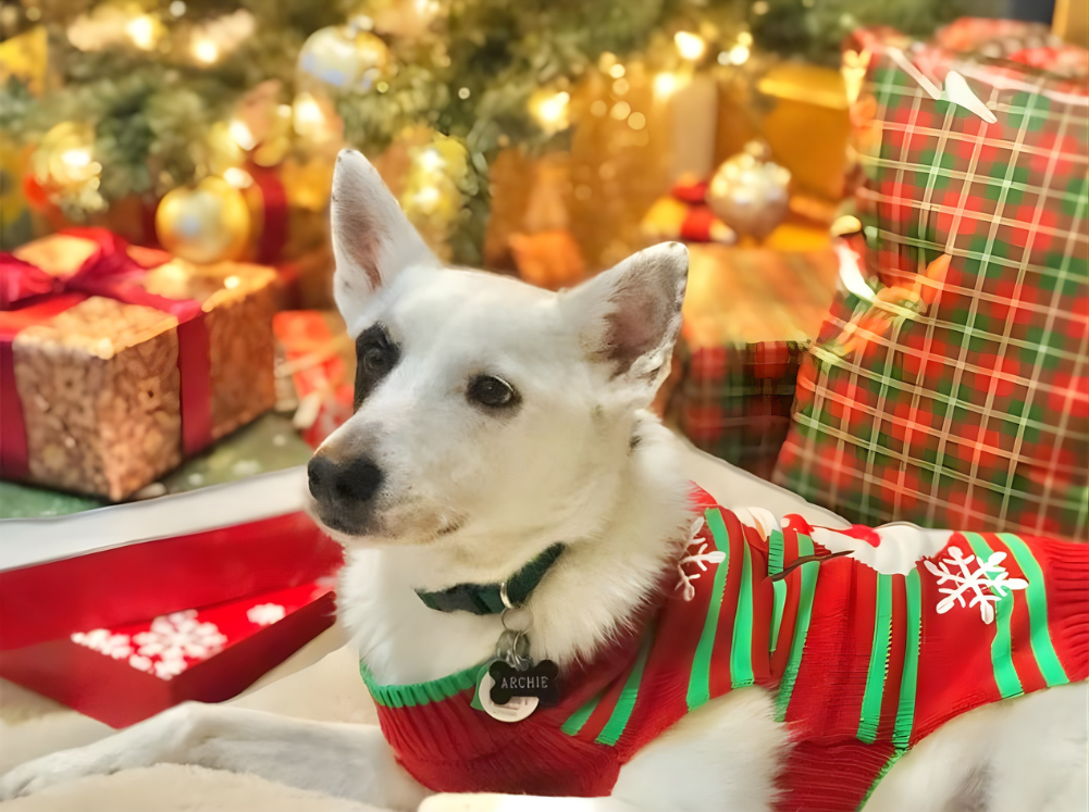 Suéter Navideño para Perros